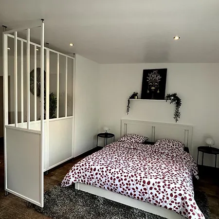 Le Joyau De - Proche Paris & Disneyland Apartamento Gournay-Sur-Marne